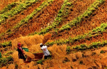 Trekking en Sapa (nivel intermedio)